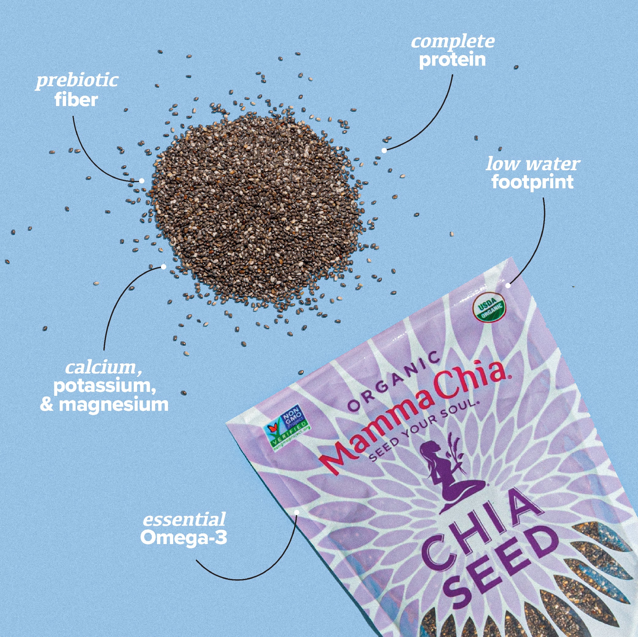 Organic Black Chia Seeds
