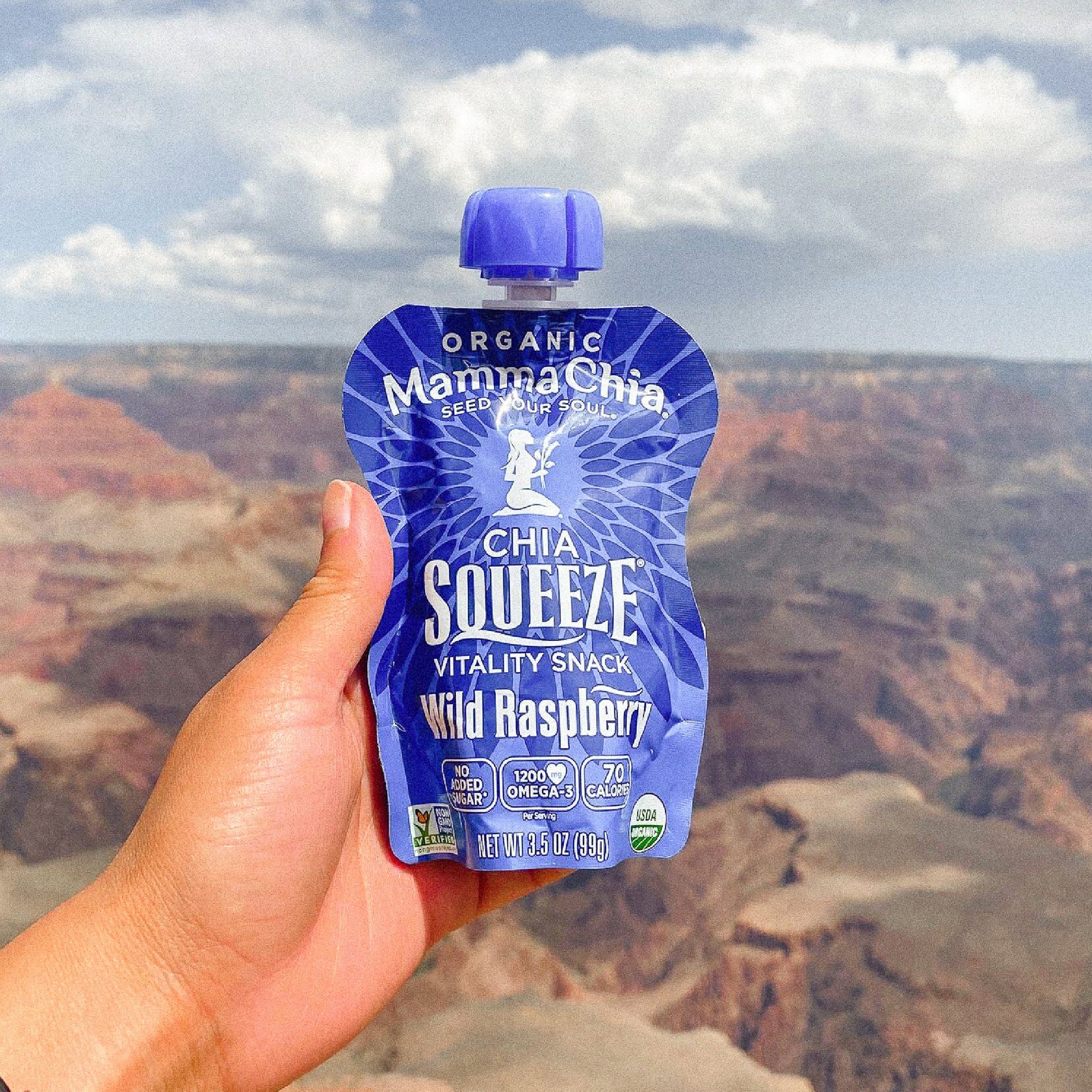 Single Wild Raspberry Organic Chia Squeeze – Mamma Chia