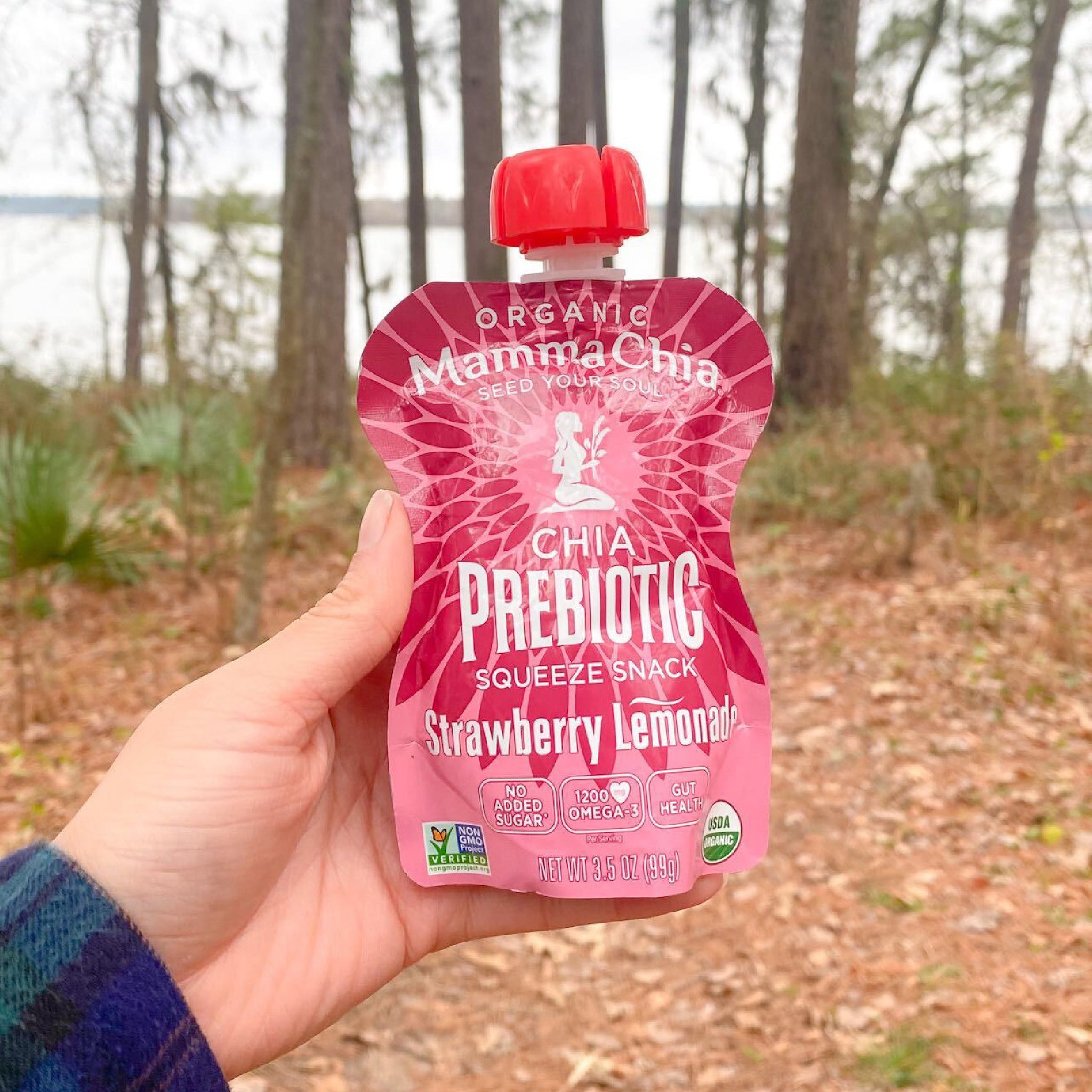 Single Strawberry Lemonade Organic Chia Prebiotic Squeeze – Mamma Chia